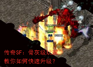 SFǻҼҽο