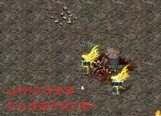 wg999ڴô򱦣