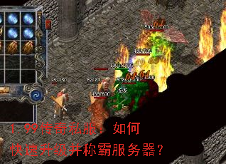 1.99˽οưԷ
