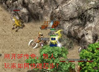 տSF棬ɢο𲽣