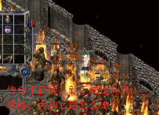 ֻ棺ֿԣ֮·ôߣ