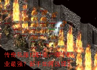 ˽12ְҵĸְҵǿѡ