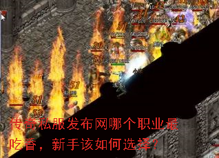 ˽ĸְҵ㣬ָѡ