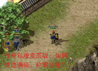 ˽̬棺οưȫ