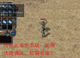 ˽̬棺οưȫ