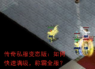 ˽̬棺οưȫ