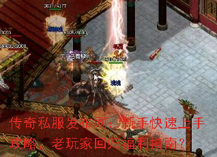 ˽ֹֿԣһع鸣ָϣ