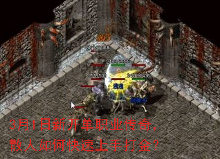 31¿ְҵ棬ɢοִ