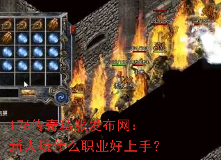 176˽ʲôְҵ֣