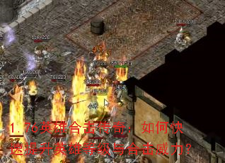 1.76Ӣۺϻ棺οӢ۵ȼϻ