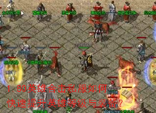 1.80Ӣۺϻ˽οӢ۵ȼװ