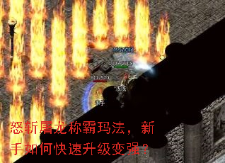 ŭնư귨οǿ