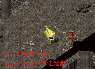 SF1.80ϻ棺ɢο𲽣