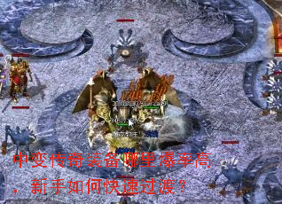 б䴫װﱬʸߣοٹɣ