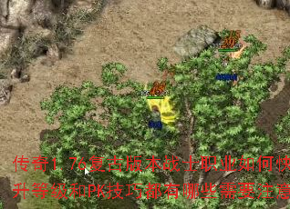 1.76Ű汾սʿְҵοȼPKɶЩҪעأ