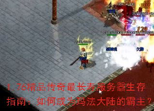 1.76ƷٷָϣγΪ귨½İ