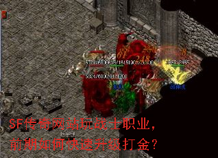 SFվսʿְҵǰο