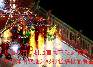 ѪֻذװָοֱƷװ