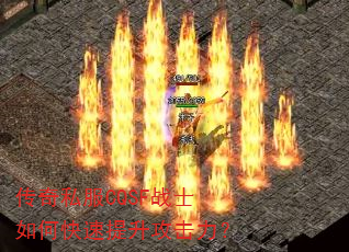 ˽CQSFսʿο