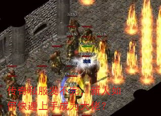 ˽꣬οֳΪУ