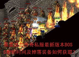 ѩѪ˽°汾BOSSˢʱ估װλȡ