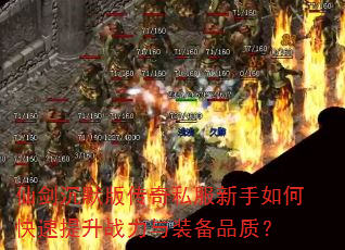 ɽĬ洫˽οսװƷʣ