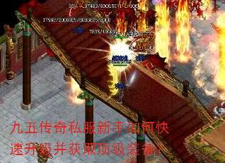 崫˽οȡװ