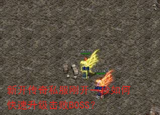 ¿˽տһοBOSS