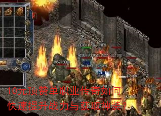 10Ԫ޵ְҵοսȡװ