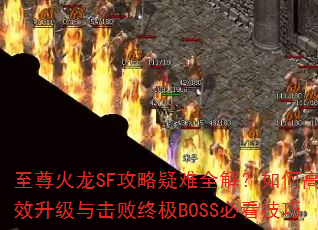 SFȫ⣿θЧռBOSSؿ