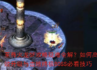 SFȫ⣿θЧռBOSSؿ