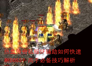 Ѫ˽SFοˢBOSSֱرɽ