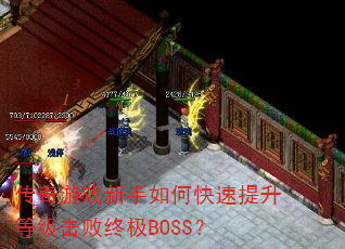 ϷοȼռBOSS