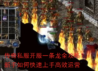 ˽һȫԣοָЧӪ