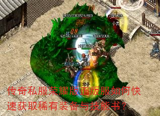 ˽ҫοٻȡϡװ뼼飿