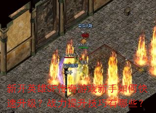 ¿ӢSFϷοսЩ
