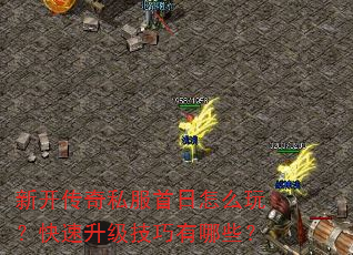 ¿˽ô棿Щ