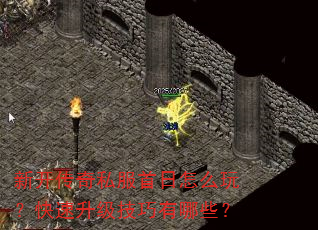 ¿˽ô棿Щ