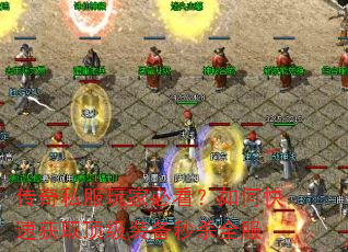 传奇私服玩家必看?如何快速获取顶级装备秒杀全服 传奇私服玩家必看?如何快速获取顶级装备秒杀全服