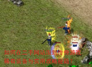 如何在二手网站淘到传奇游戏稀有装备与实用攻略秘籍? 如何在二手网站淘到传奇游戏稀有装备与实用攻略秘籍?