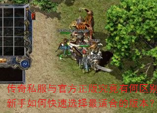 ˽ٷ澿кοѡʺϵİ汾