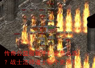 湫ְҵôѡսʿʦʿĸǿ