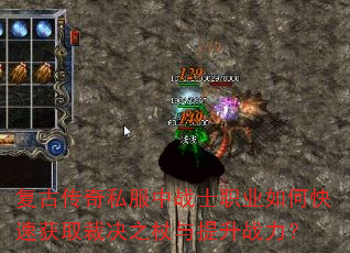 Ŵ˽սʿְҵοٻȡþ֮ս