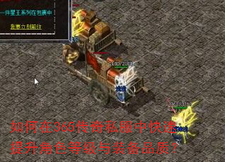 �����365����˽���п���������ɫ�ȼ���װ��Ʒ�ʣ�