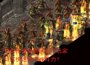 ��Ѫ������������������ο�������ս������