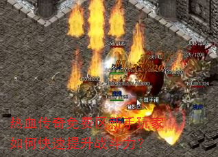 ��Ѫ������������������ο�������ս������