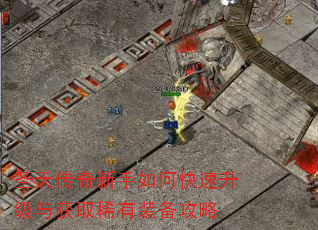 圣天传奇新手如何快速升级与获取稀有装备攻略 圣天传奇新手如何快速升级与获取稀有装备攻略