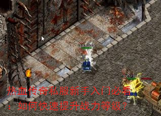 ��Ѫ����˽���������űؿ�����ο�������ս���ȼ���