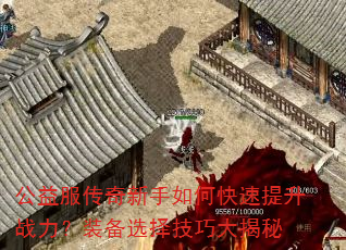 ���������������ο�������ս����װ��ѡ���ɴ����