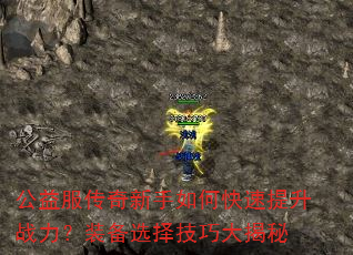 ���������������ο�������ս����װ��ѡ���ɴ����